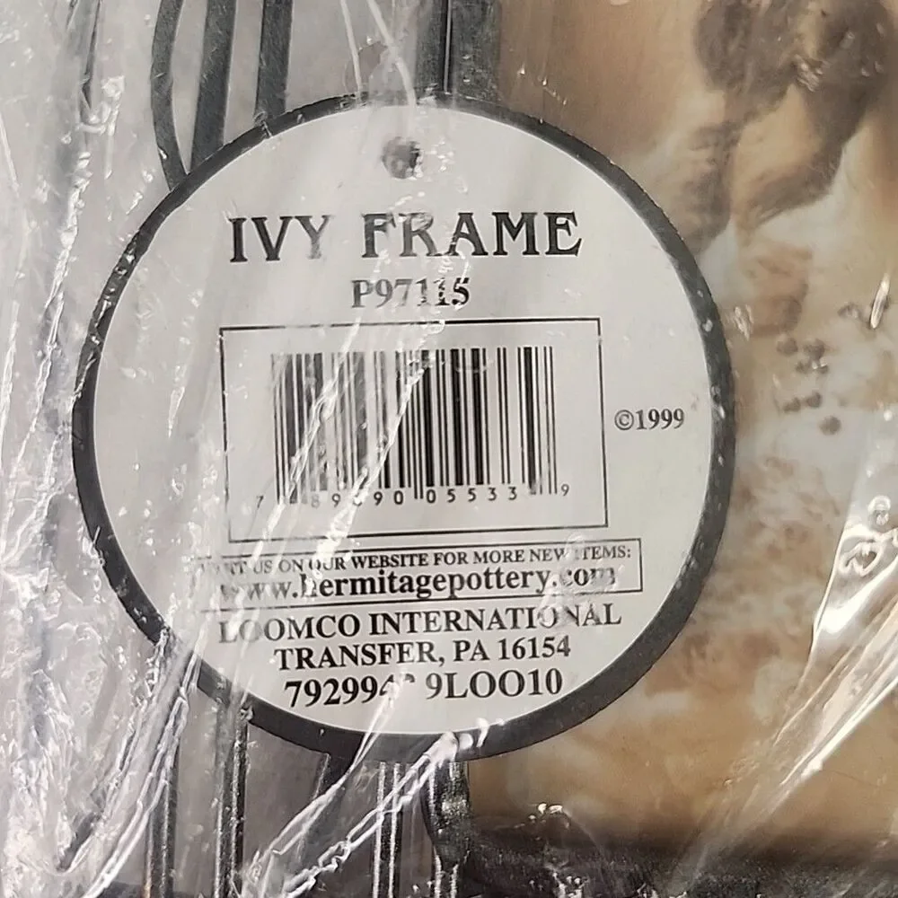 Picture Frame Metal Photo 3 1/2' X 5